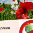 Операция мак 2021 - Газета Заря