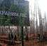 Сохраним лес - Газета Заря